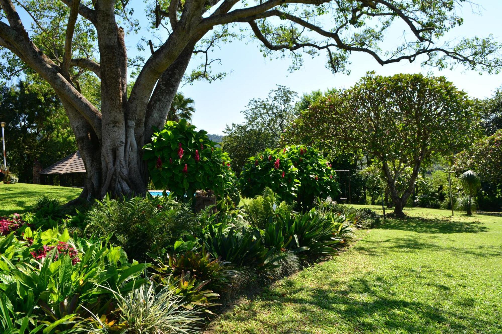 Oppi Plaas Villa Hazyview Buitenkant foto
